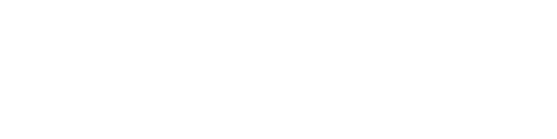 Pyrkon